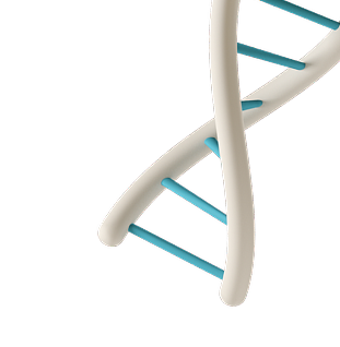 Market Research and Insights